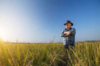 24526 SunRice Sustainability_2.jpg